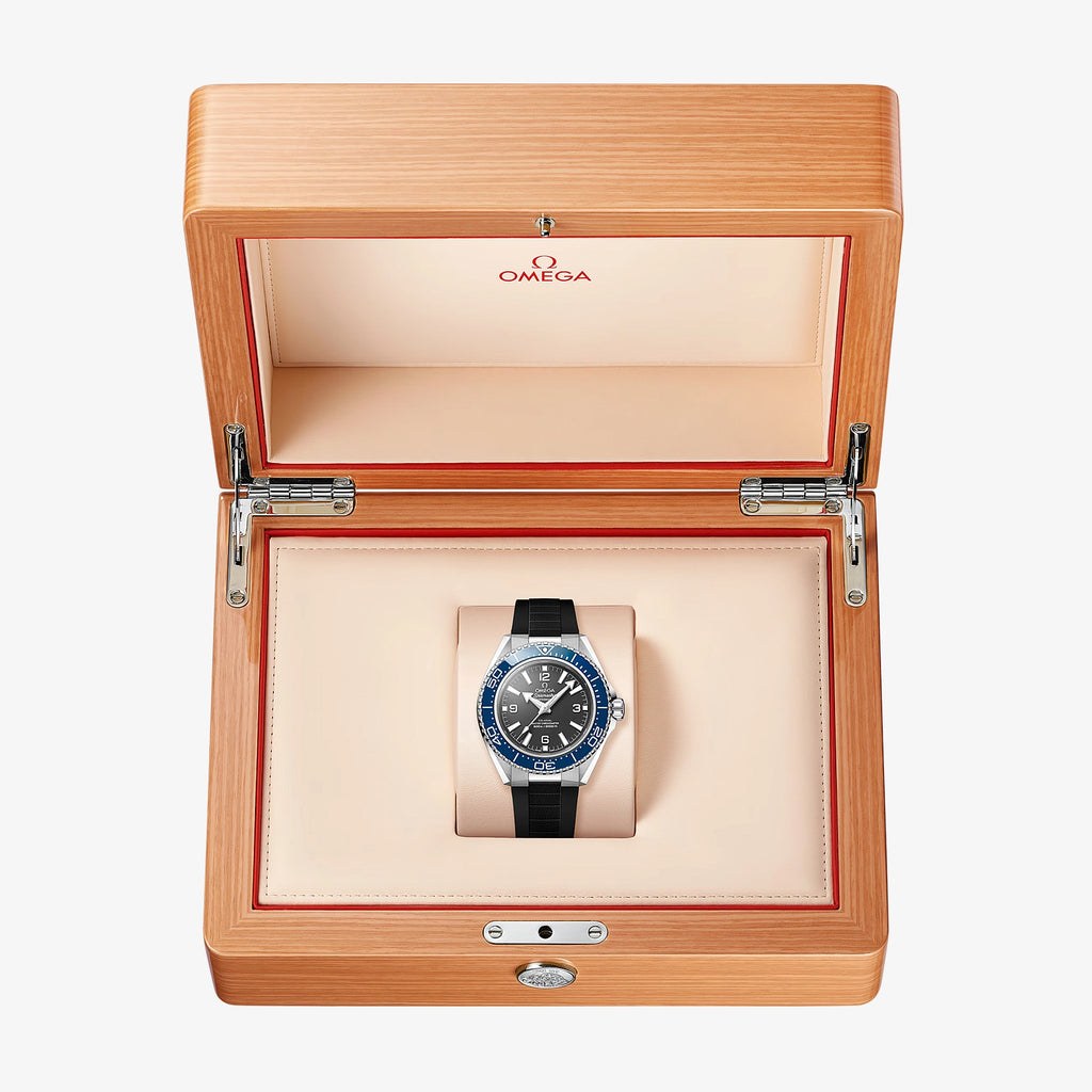 OMEGA Seamaster Planet Ocean 600M Automatik | 42 mm